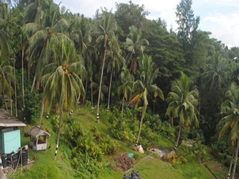 Andaman Galley Boutique Hotel Port Blair Kültér fotó